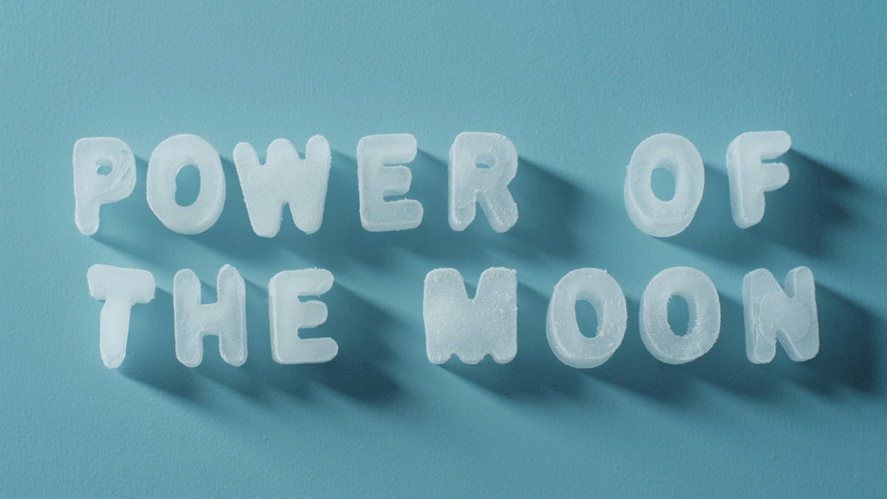 The Nursery — She Speaks The Wave — powerofthemoon