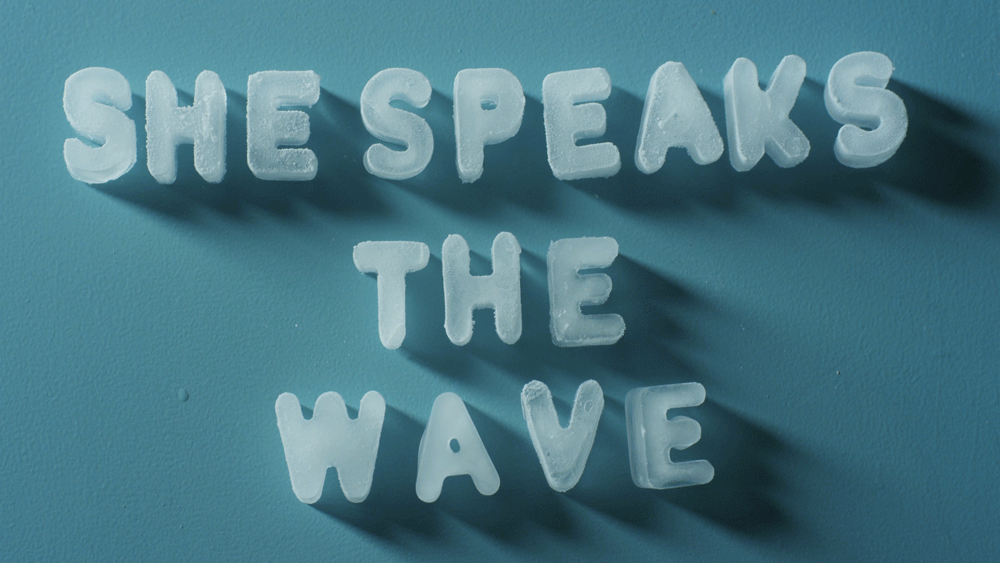The Nursery — She Speaks The Wave — sstw